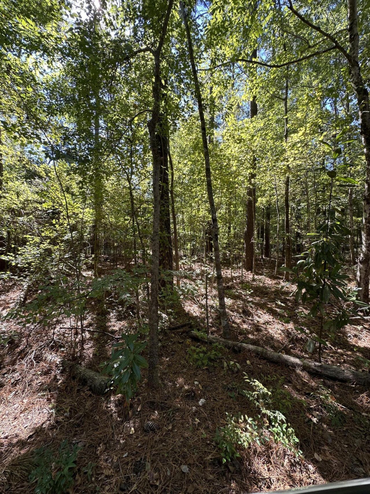 126 Old Still Lane Photo 5