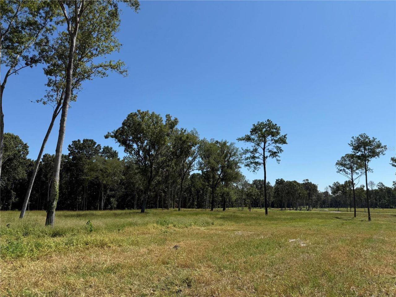 84ac NW 193rd St, Micanopy, FL 32667 Photo
