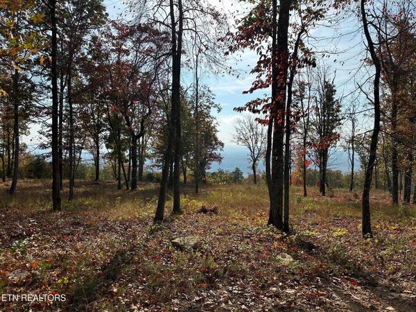 288 Duckwood Lane, Evensville, TN 37332