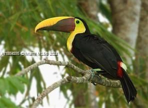 Sabanita, Puerto Pilon, Santa Rita Arriba, , FL 00000 Photo