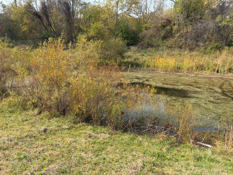 Lot 5 Mockingbird Lane, Granville, OH 43023 Photo 14