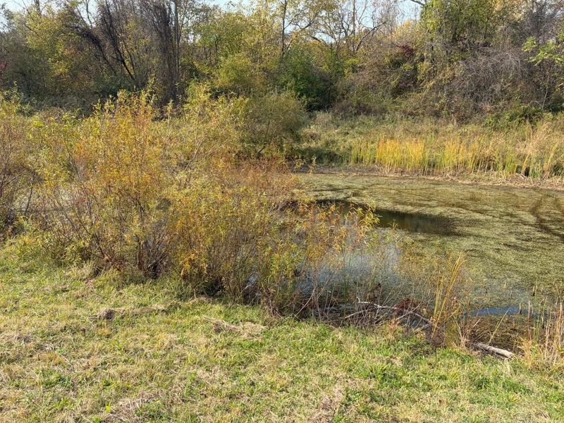 Lot 5 Mockingbird Lane, Granville, OH 43023 Photo 15