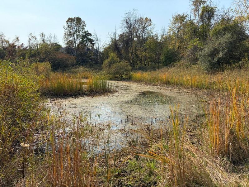 Lot 5 Mockingbird Lane, Granville, OH 43023 Photo 17