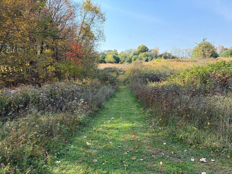 Lot 5 Mockingbird Lane, Granville, OH 43023 Photo 18