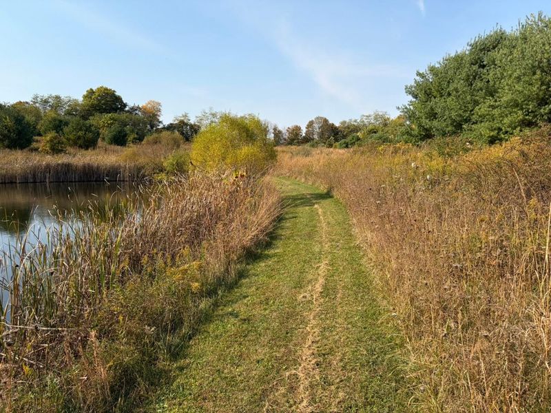 Lot 5 Mockingbird Lane, Granville, OH 43023 Photo 20