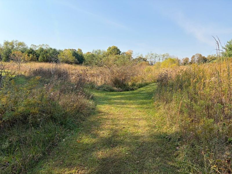 Lot 5 Mockingbird Lane, Granville, OH 43023 Photo 20