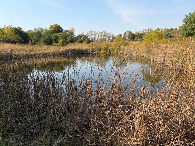 Lot 5 Mockingbird Lane, Granville, OH 43023 Photo 22