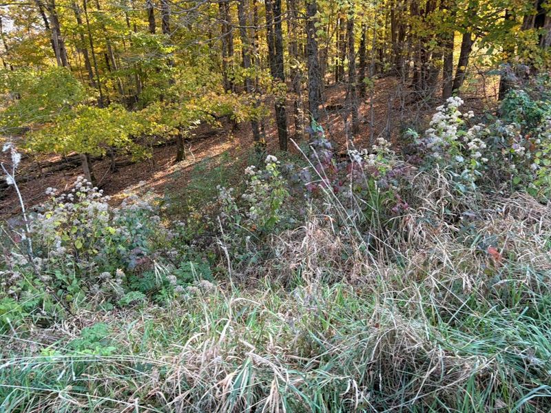 Lot 5 Mockingbird Lane, Granville, OH 43023 Photo 23