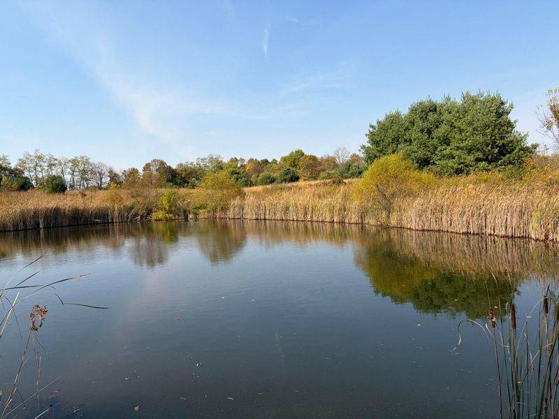 Lot 5 Mockingbird Lane, Granville, OH 43023 Photo 24