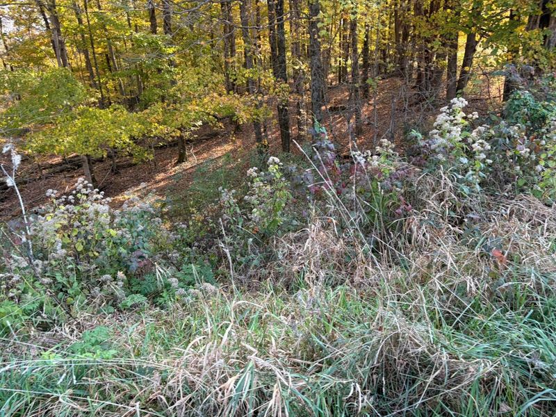 Lot 5 Mockingbird Lane, Granville, OH 43023 Photo 24