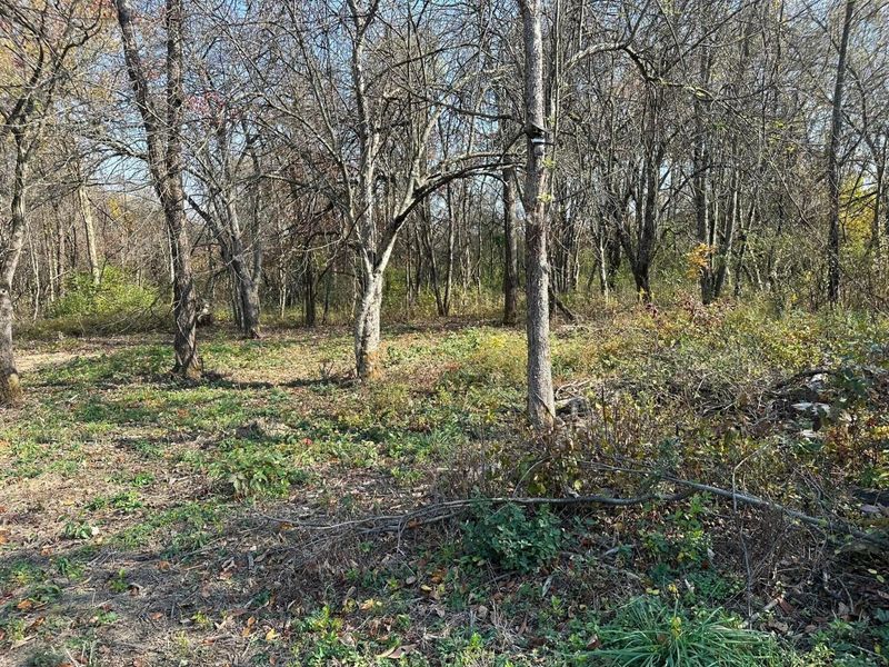 Lot 5 Mockingbird Lane, Granville, OH 43023 Photo 5