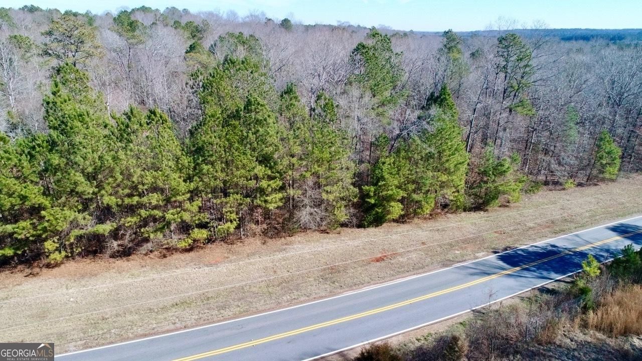 0 N. Ola Road, McDonough, GA 30252 Main Photo