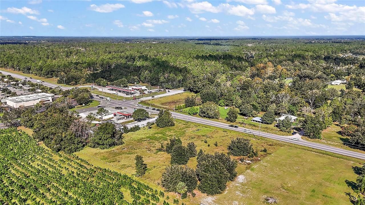 Sr-44, Sorrento, FL 32776 Photo