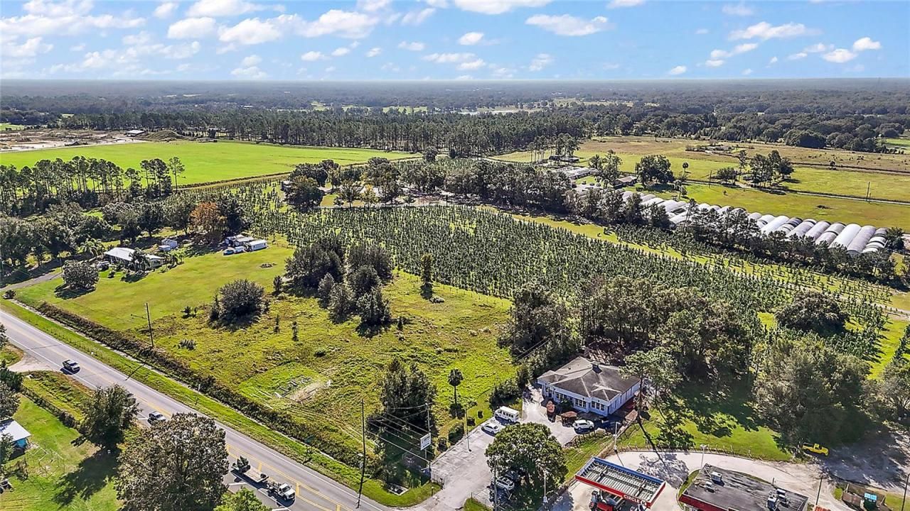 Sr-44, Sorrento, FL 32776 Photo