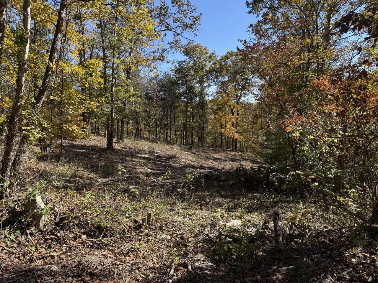 Lot# 36 Buck Creek Circle, Somerset, KY 42501 Main Photo