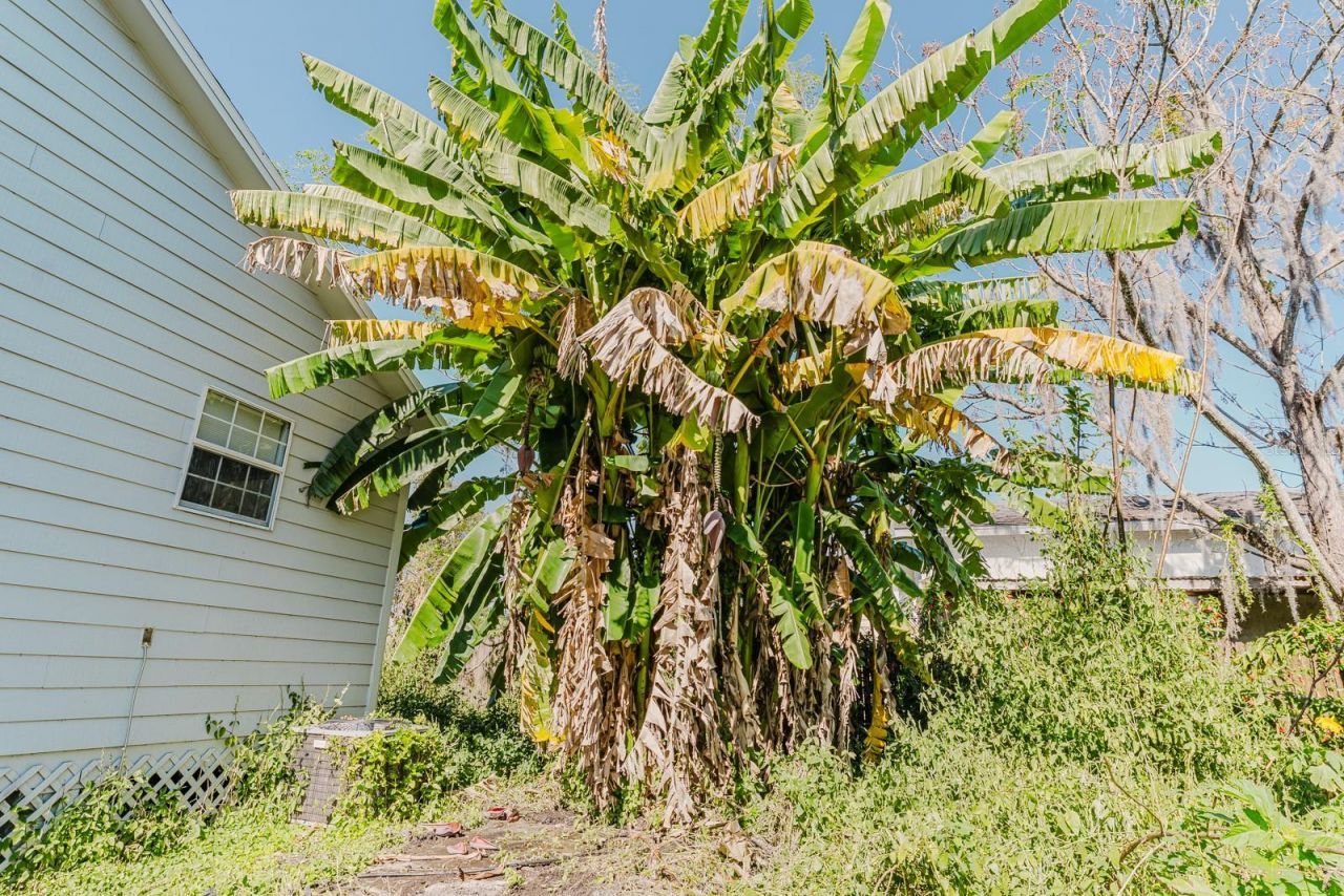 2935 Aein Road, Orlando, FL 32817 Photo