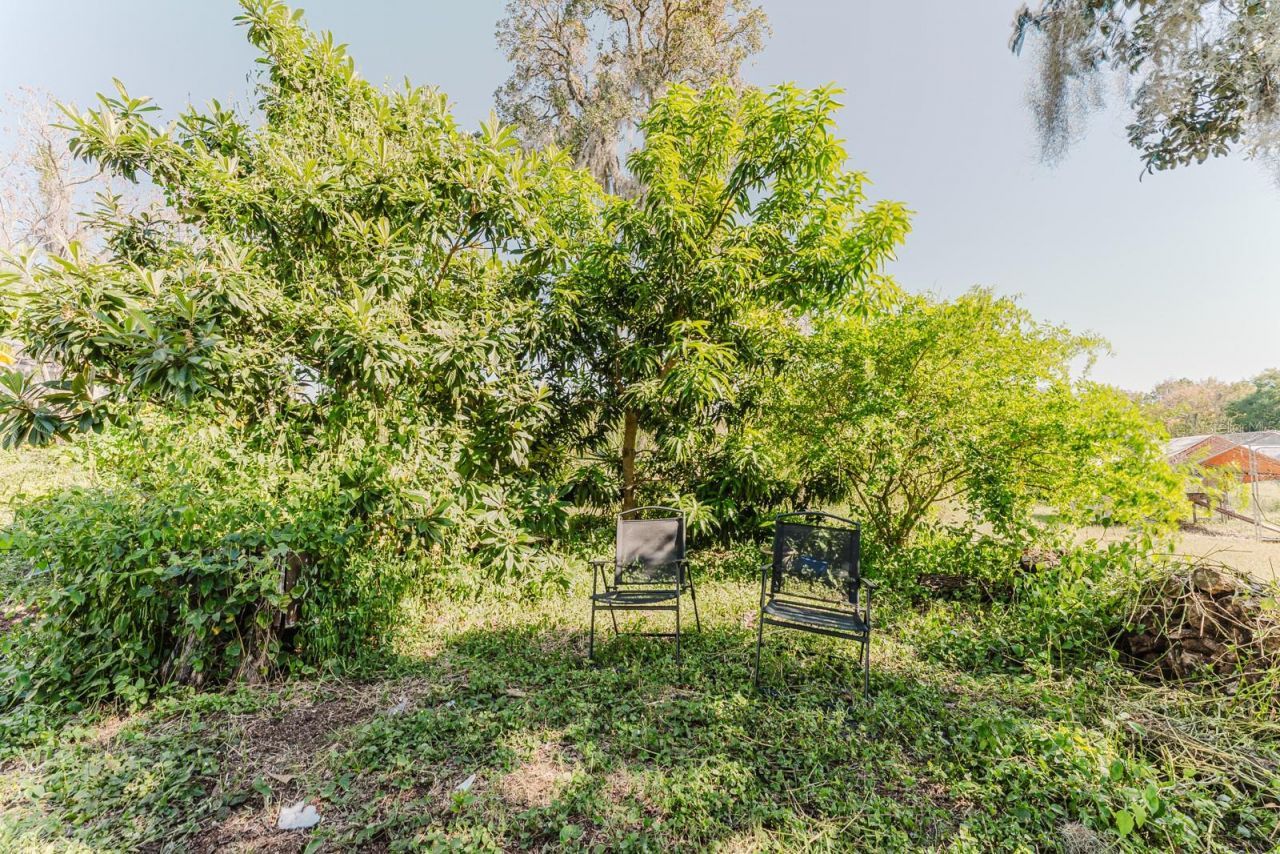 2935 Aein Road, Orlando, FL 32817 Photo