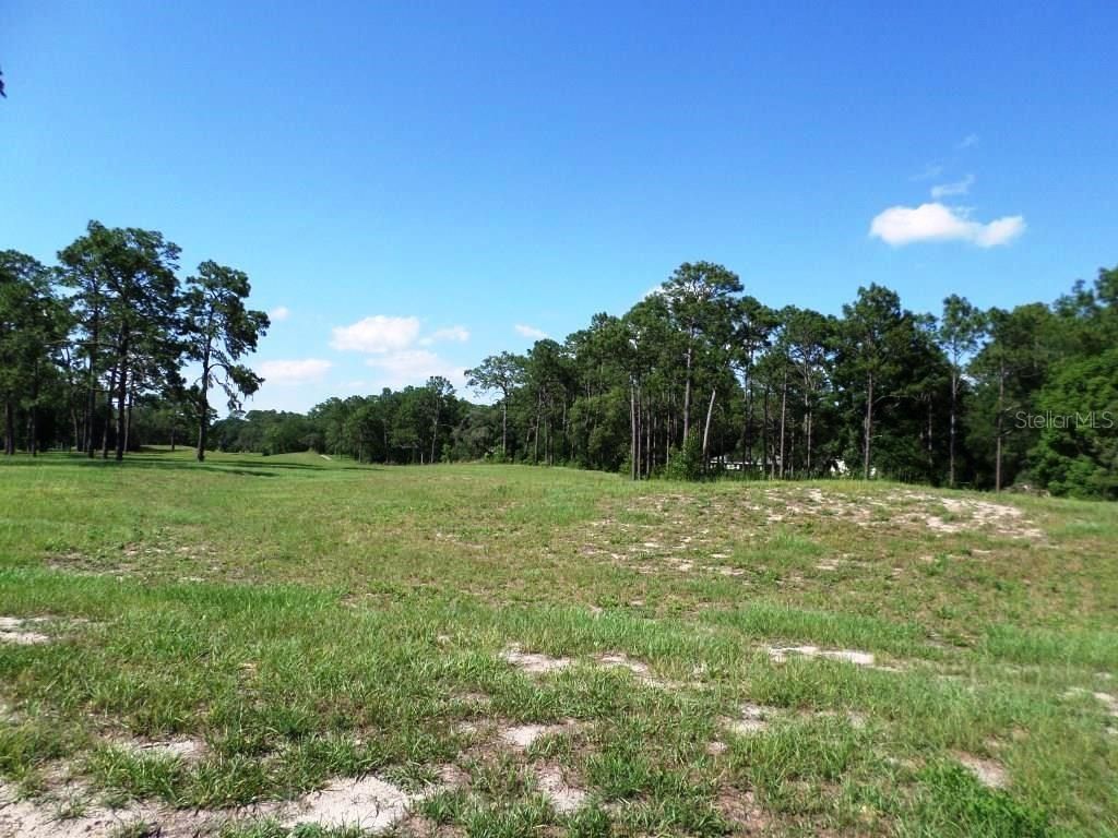 8518 SW 189th Court Rd, Dunnellon, FL 34432 Photo