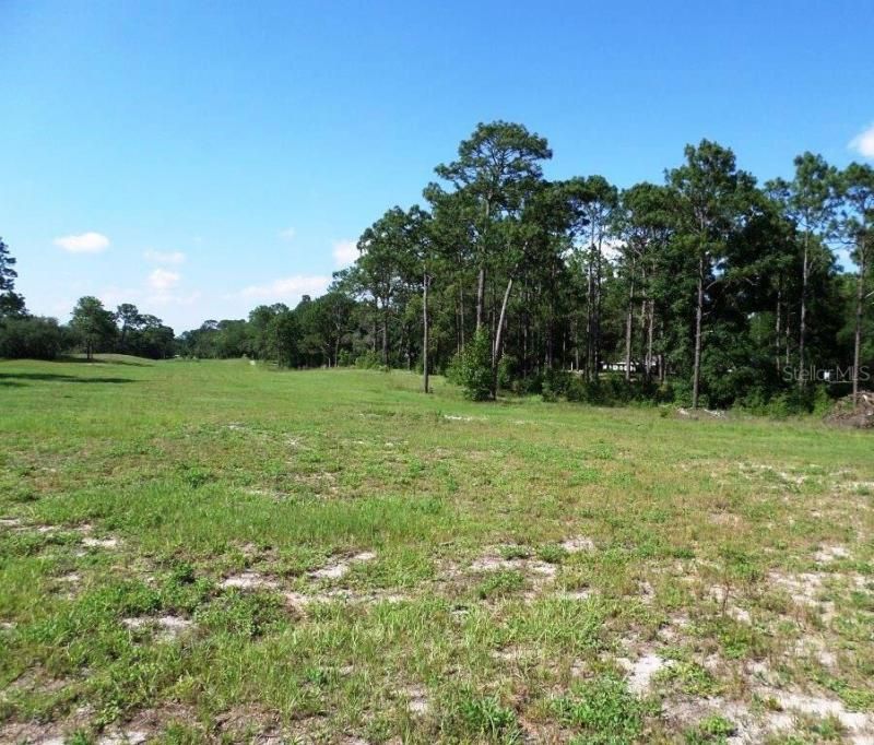 8518 SW 189th Court Rd, Dunnellon, FL 34432 Photo