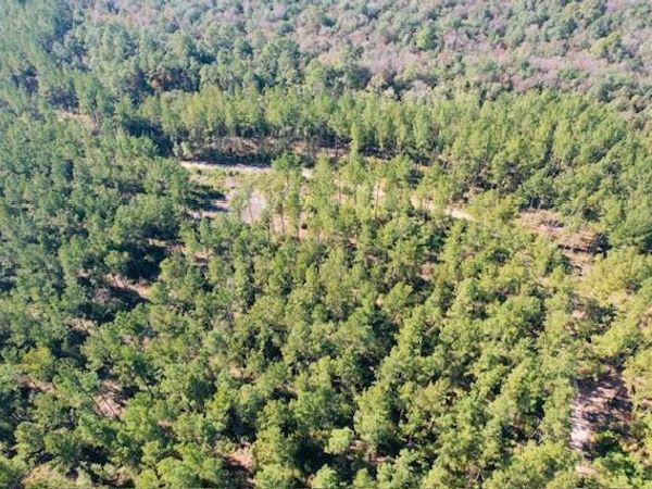 0 Hollingsworth Road, Bay Minette, AL 36507