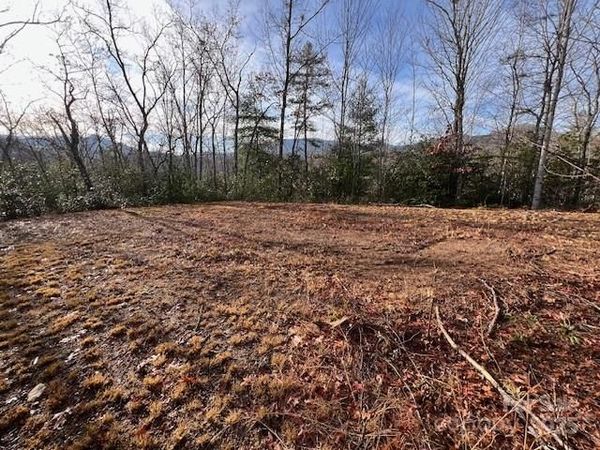 LOT 2 Tobacco Branch Road, Almond, NC 28702