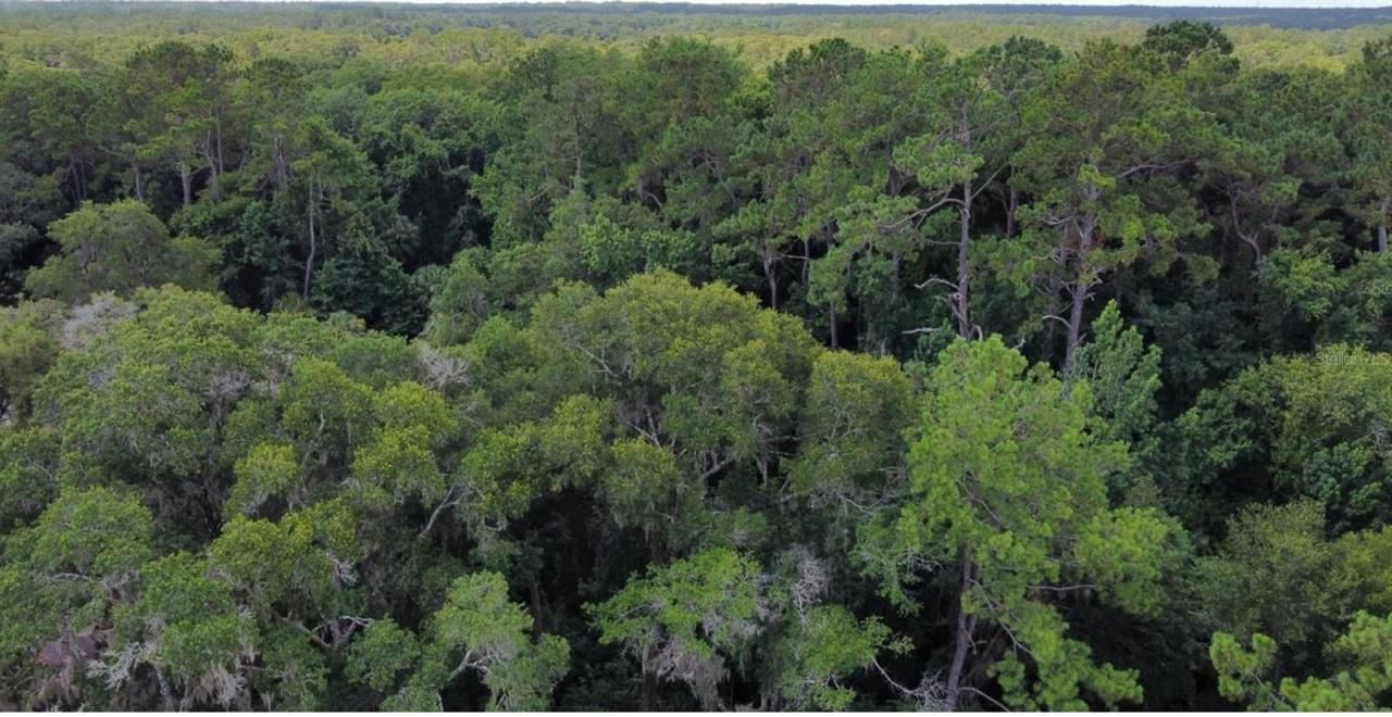 00 W Highway 40, Dunnellon, FL 34431 Photo