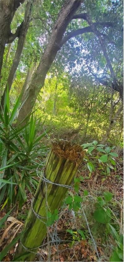 00 W Highway 40, Dunnellon, FL 34431 Photo