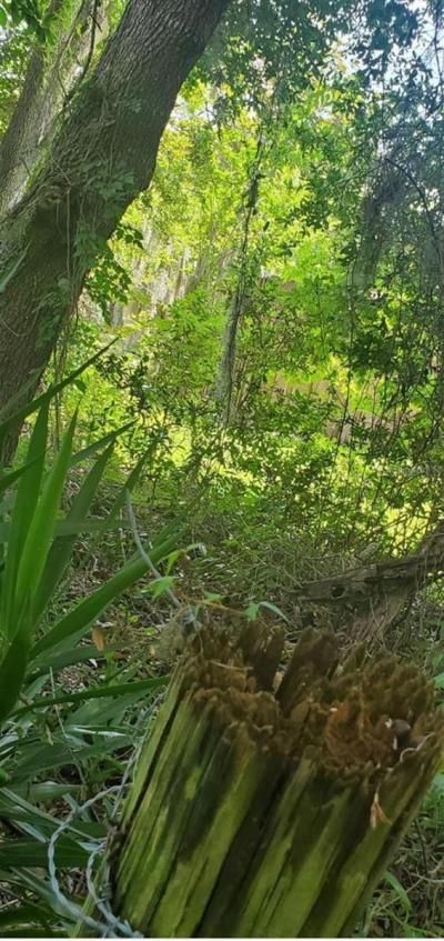 00 W Highway 40, Dunnellon, FL 34431 Photo