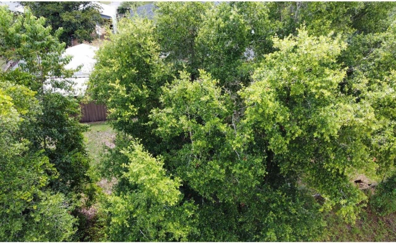 00 W Highway 40, Dunnellon, FL 34431 Photo