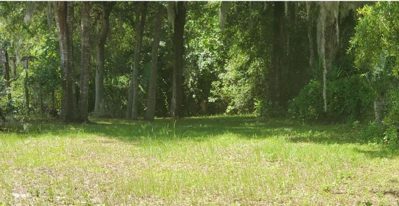 00 W Highway 40, Dunnellon, FL 34431 Photo
