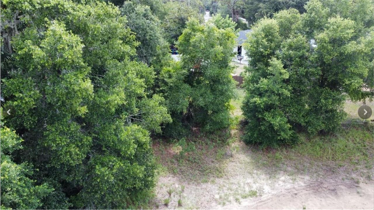 00 W Highway 40, Dunnellon, FL 34431 Photo
