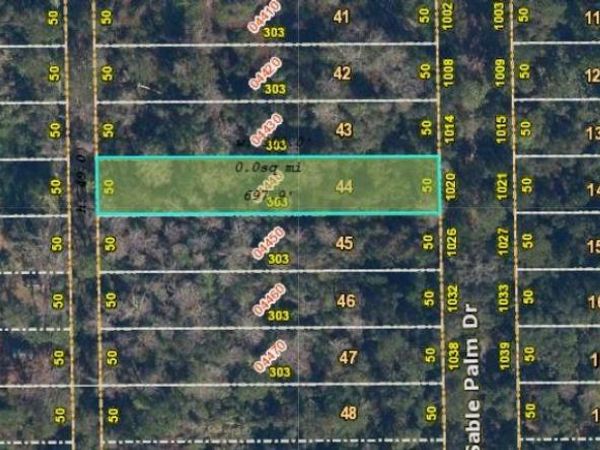 1020 SABLE PALM DRIVE, CHRISTMAS, FL 32709