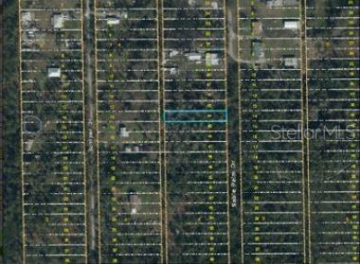 1020 Sable Palm Drive, Christmas, FL 32709 Photo