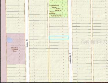 1020 Sable Palm Drive, Christmas, FL 32709 Photo