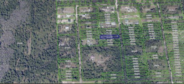 1020 Sable Palm Drive, Christmas, FL 32709 Photo