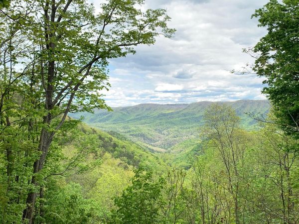 Lot 125 Withrow Landing, Caldwell, WV 24925