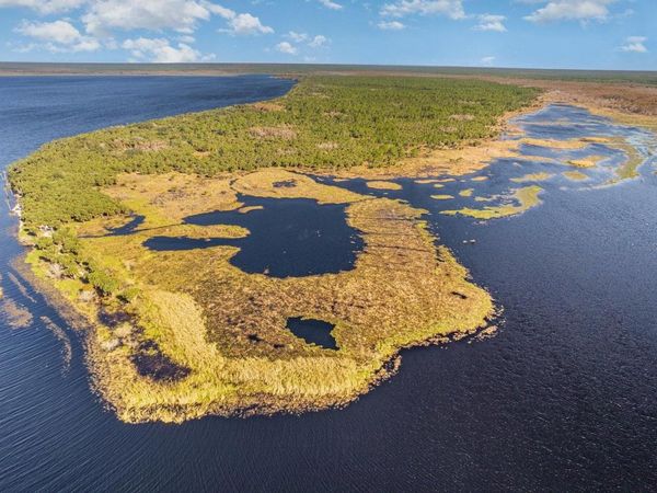 LAKE HARNEY WOODS BOULEVARD, OSTEEN, FL 32764