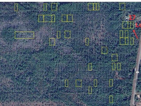 0 Dauphin Island Parkway, Coden, AL 36523