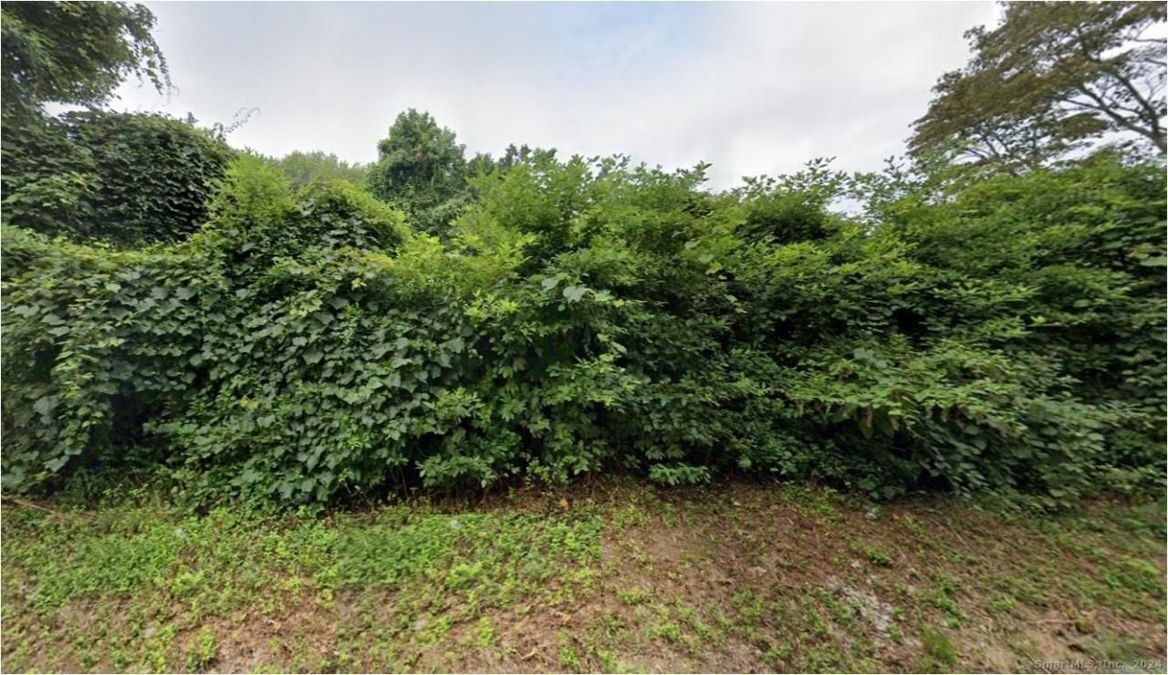 Cow Hill, Clinton, CT 06413 Main Photo