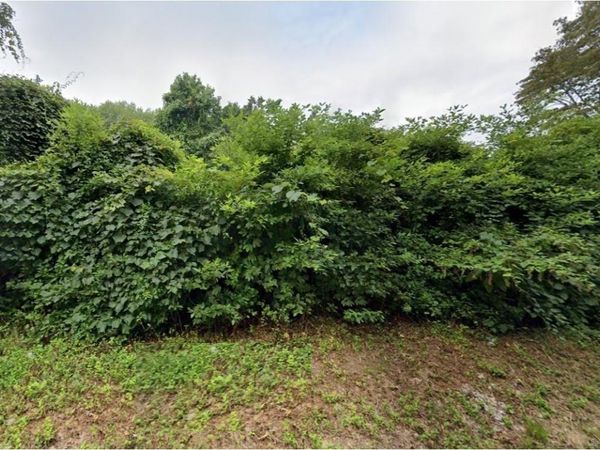 Cow Hill, Clinton, CT 06413