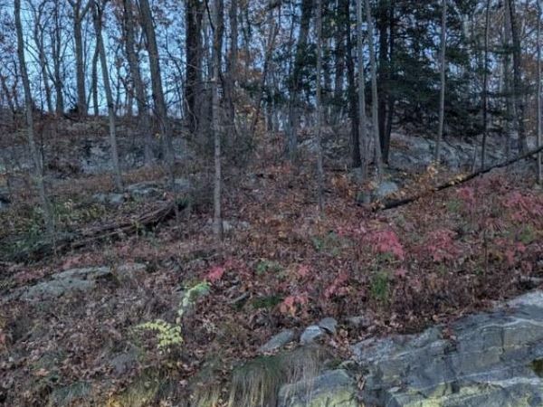 250 Hortontown Road, Hopewell Junction, NY 12533