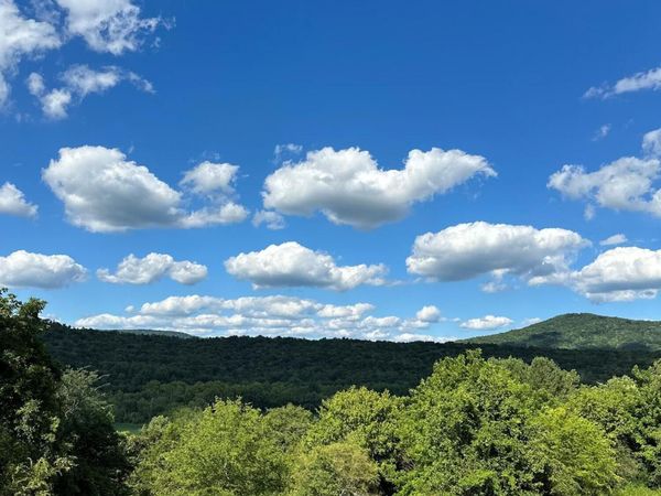 14 Battle Creek Road, South Pittsburg, TN 37380