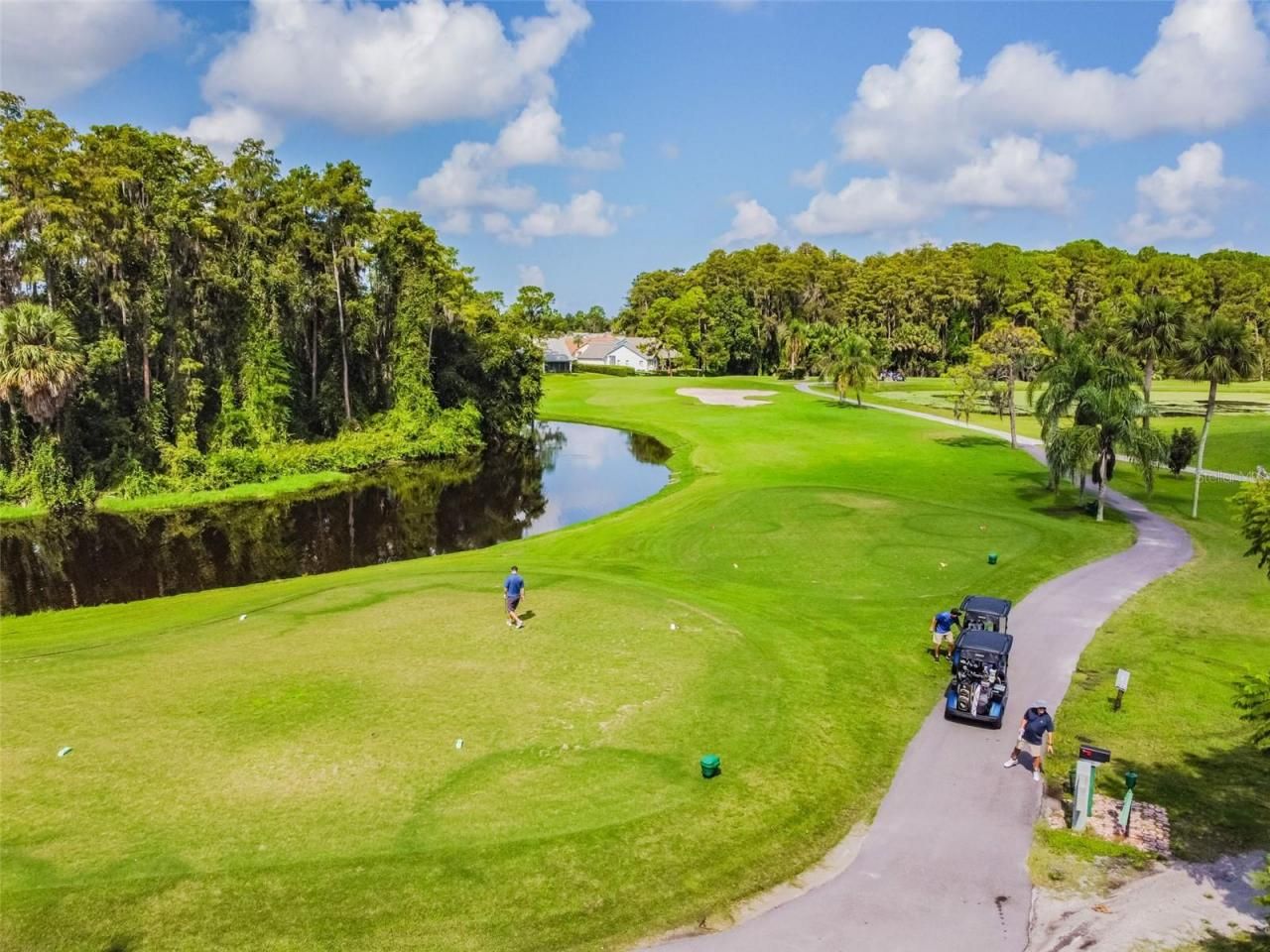 3942 Trophy Boulevard, New Port Richey, FL 34655 Photo