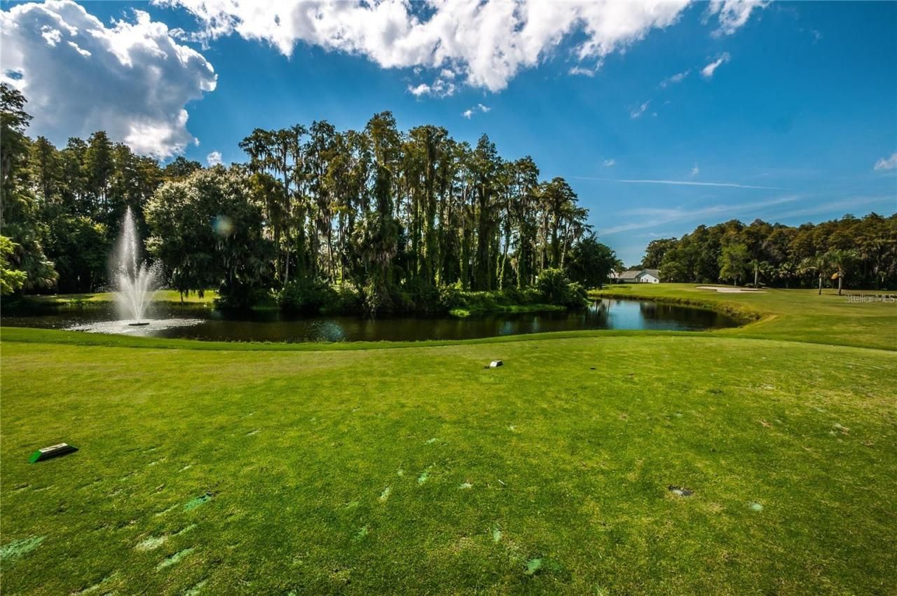 3942 Trophy Boulevard, New Port Richey, FL 34655 Photo