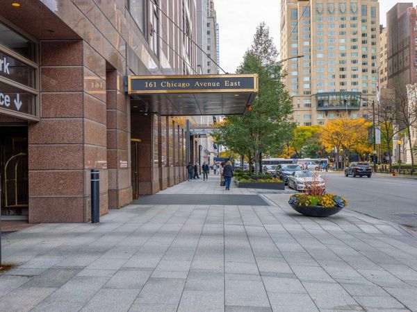 161 E Chicago Avenue, Unit 42H, Chicago, IL 60611