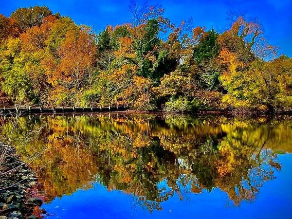 1508 HAMBROOKS BOULEVARD, CAMBRIDGE, MD 21613