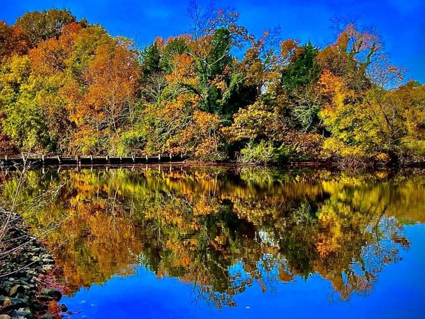 1508 Hambrooks Boulevard, Cambridge, MD 21613 Main Photo