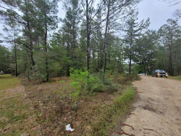Lot 2 Blk 101 E. Bluebottle Court, DeFuniak Springs, FL 32433