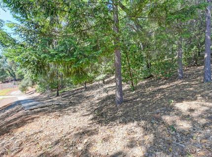 4630 Rosarno Pl, Foresthill, CA 95631 Photo