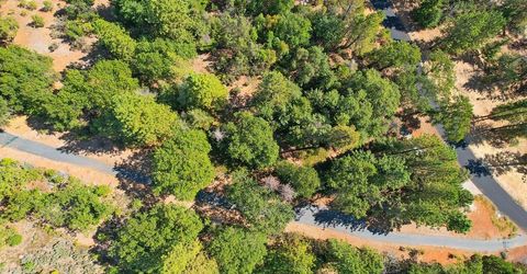 4630 Rosarno Pl, Foresthill, CA 95631 Photo